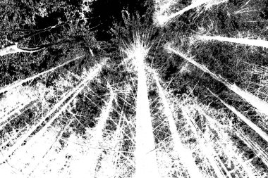 Soyut arkaplan. Monokrom dokusu. Siyah ve beyaz desenli arkaplan. 