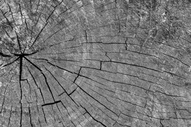 Soyut arkaplan. Monokrom dokusu. Siyah ve beyaz desenli arkaplan. 