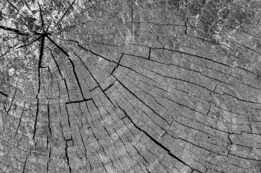 Soyut arkaplan. Monokrom dokusu. Siyah ve beyaz desenli arkaplan. 