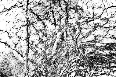 Soyut arkaplan. monokrom dokusu. resim siyah ve beyaz tonları içerir.