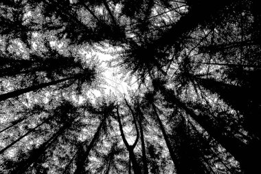 Soyut arkaplan. Monokrom dokusu. Siyah ve beyaz desenli arkaplan. 