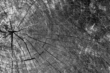 Soyut arkaplan. Monokrom dokusu. Siyah ve beyaz desenli arkaplan. 