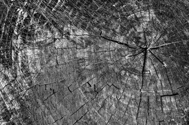 Soyut arkaplan. Monokrom dokusu. Siyah ve beyaz desenli arkaplan. 