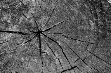 Soyut arkaplan. Monokrom dokusu. Siyah ve beyaz desenli arkaplan. 