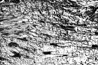 Soyut arkaplan. Monokrom dokusu. Siyah ve beyaz desenli arkaplan. 