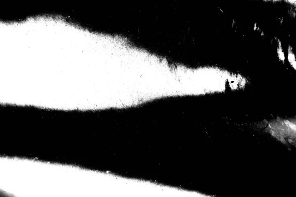 Fondo Abstracto Textura Monocromática Fondo Texturizado Blanco Negro — Foto de Stock