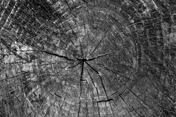 Soyut arkaplan. Monokrom dokusu. Siyah ve beyaz desenli arkaplan. 