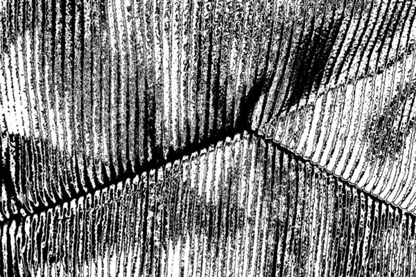 Abstracte Achtergrond Monochrome Textuur Zwart Wit Textuur Achtergrond — Stockfoto