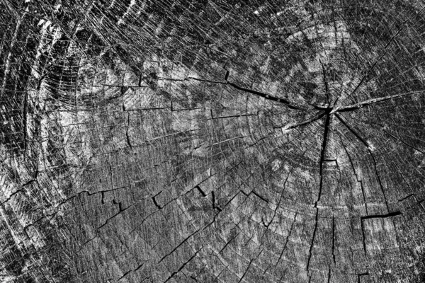 Soyut arkaplan. Monokrom dokusu. Siyah ve beyaz desenli arkaplan. 