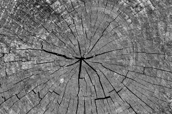 Soyut arkaplan. Monokrom dokusu. Siyah ve beyaz desenli arkaplan. 