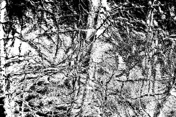 Abstract Background Monochrome Texture Image Including Effect Black White Tones — Stock Photo, Image