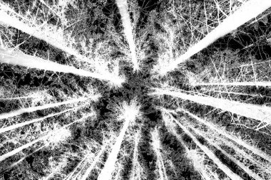 Soyut arkaplan. Monokrom dokusu. Siyah ve beyaz desenli arkaplan. 