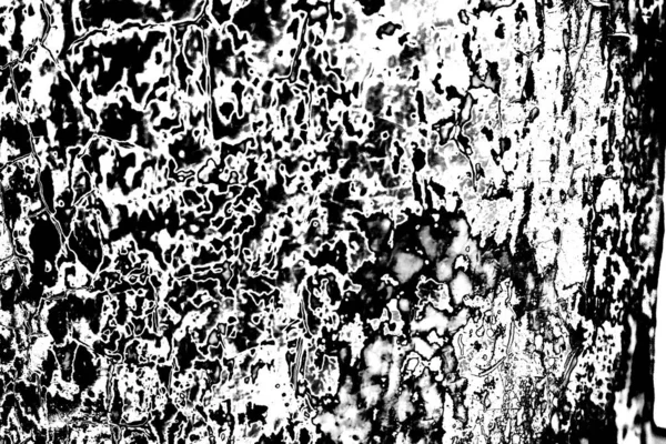 Fundo Abstrato Textura Monocromática Preto Branco Texturizado Fundo — Fotografia de Stock