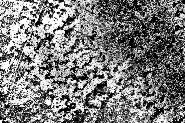 Betonwand Textur Hintergrund — Stockfoto © ivanvbtv #375342428