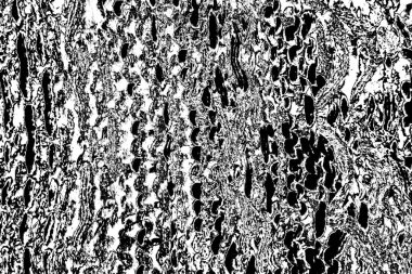 soyut siyah ve beyaz desenli arkaplan. 