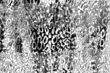 soyut siyah ve beyaz desenli arkaplan. 