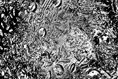 Soyut arkaplan. Monokrom dokusu. Siyah ve beyaz desenli arkaplan. 