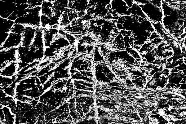 Fondo Texturizado Abstracto Blanco Negro — Foto de Stock