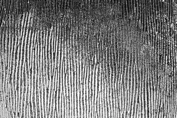 Fondo Texturizado Abstracto Blanco Negro —  Fotos de Stock