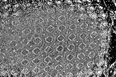 soyut siyah ve beyaz desenli arkaplan. 