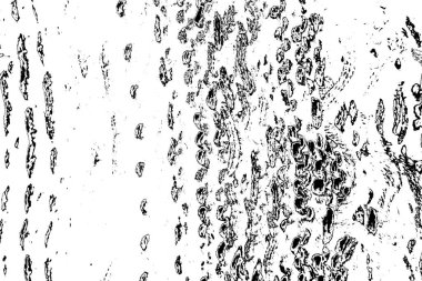 soyut siyah ve beyaz desenli arkaplan. 