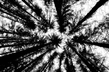 soyut siyah ve beyaz desenli arkaplan. 