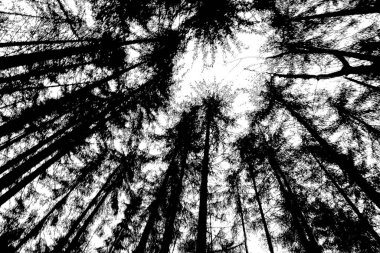 soyut siyah ve beyaz desenli arkaplan. 