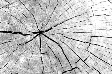 soyut siyah ve beyaz desenli arkaplan. 