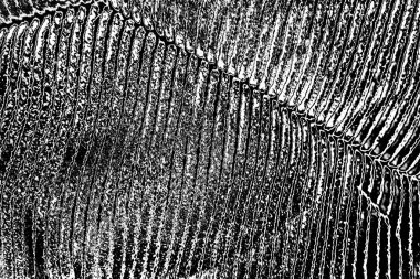 Soyut arkaplan. Monokrom dokusu. Siyah ve beyaz desenli arkaplan. 