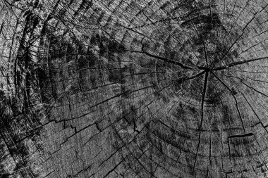 soyut siyah ve beyaz desenli arkaplan. 