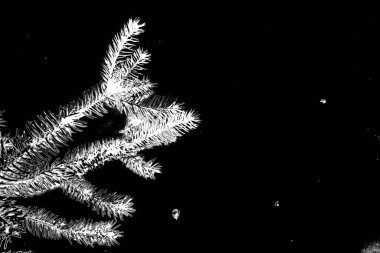 soyut siyah ve beyaz desenli arkaplan. 