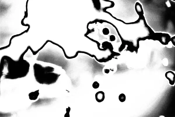 Fondo Texturizado Abstracto Blanco Negro —  Fotos de Stock