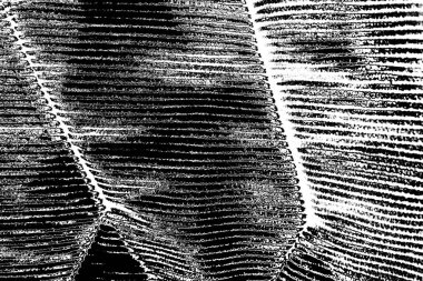 Soyut arkaplan. Monokrom dokusu. Siyah ve beyaz desenli arkaplan. 