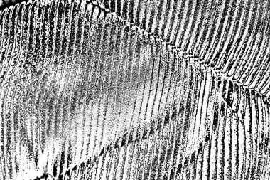 soyut siyah ve beyaz desenli arkaplan. 