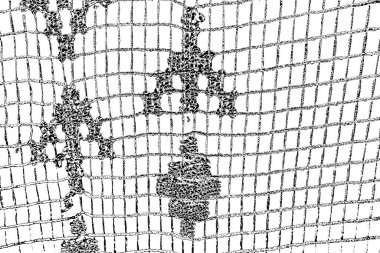 Soyut arkaplan. Monokrom dokusu. Siyah ve beyaz desenli arkaplan. 