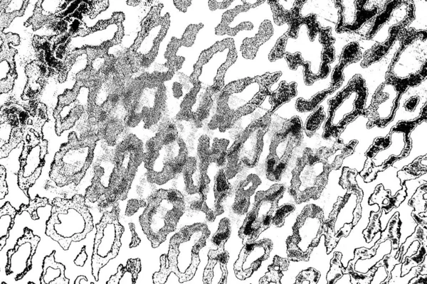 Soyut Arkaplan Monokrom Dokusu Siyah Beyaz Desenli Arkaplan — Stok fotoğraf