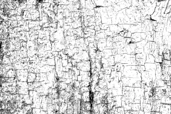 Abstract Black White Textured Background Monochrome Texture — Stock Photo, Image