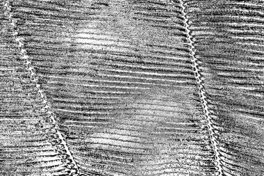 Soyut arkaplan. Monokrom dokusu. Siyah ve beyaz desenli arkaplan. 