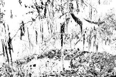 Soyut arkaplan. Monokrom dokusu. Siyah ve beyaz desenli arkaplan. 