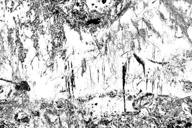 Soyut arkaplan. Monokrom dokusu. Siyah ve beyaz desenli arkaplan. 