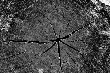 soyut siyah ve beyaz desenli arkaplan. 