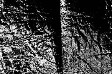 Soyut arkaplan. Monokrom dokusu. Siyah ve beyaz desenli arkaplan. 