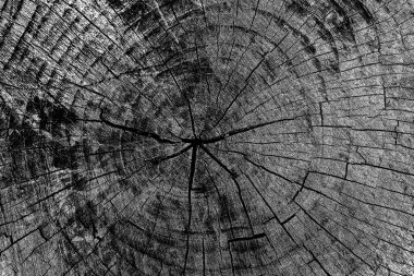 Soyut arkaplan. Monokrom dokusu. Siyah ve beyaz desenli arkaplan. 