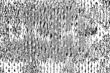 Soyut arkaplan. Monokrom dokusu. Siyah ve beyaz desenli arkaplan. 