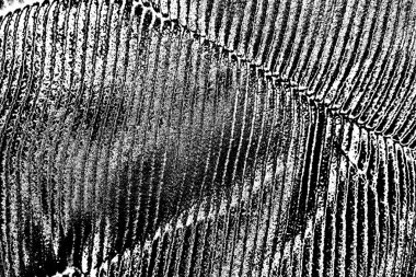 Soyut arkaplan. Monokrom dokusu. Siyah ve beyaz desenli arkaplan. 