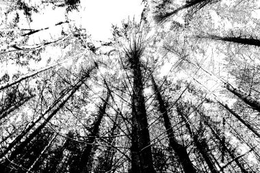 Soyut arkaplan. Monokrom dokusu. Siyah ve beyaz desenli arkaplan. 