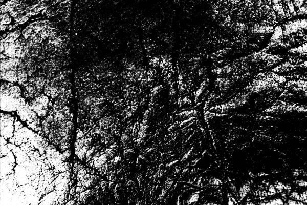 Fondo Texturizado Abstracto Blanco Negro — Foto de Stock