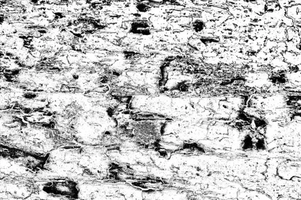 Abstract Background Monochrome Texture Image Including Effect Black White Tones — Stock Photo, Image