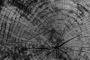 Soyut arkaplan. Monokrom dokusu. Siyah ve beyaz desenli arkaplan. 