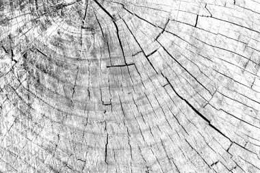 Soyut arkaplan. Monokrom dokusu. Siyah ve beyaz desenli arkaplan. 